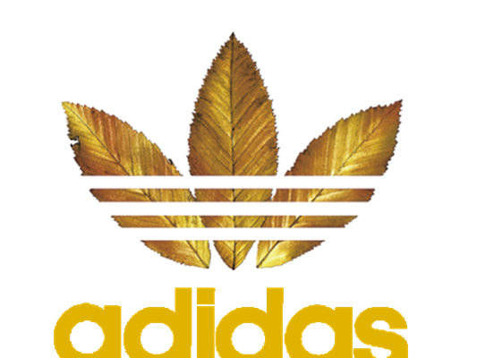 金色枫叶裁片印花服装,展现独特时尚风格