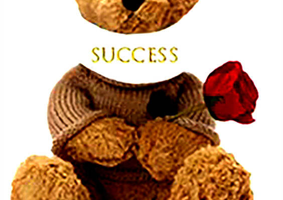 经典泰迪熊裁片印花服装：成功是最好的复仇