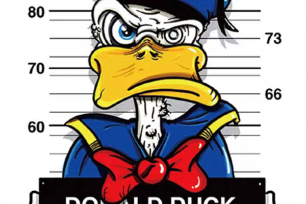 创意卡通裁片印花服装：唐老鸭主题时尚设计