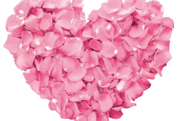 浪漫粉色心形裁片印花服装，展现甜美风格