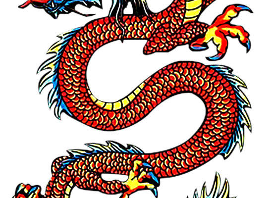 炫彩龙纹裁片印花服装，展现东方神秘魅力