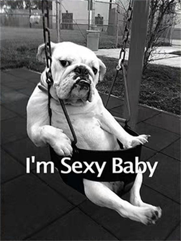 萌宠时尚:狗狗裁片印花服装,展现可爱性感风格