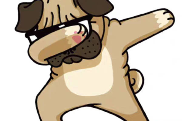 可爱卡通狗裁片印花服装，趣味时尚的宠物风格设计