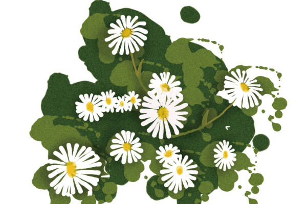 清新自然风格裁片印花服装印花设计