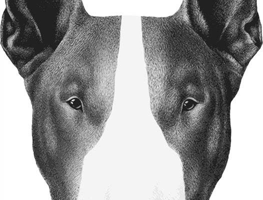 时尚狗头裁片印花服装印花设计,打造个性街头风格