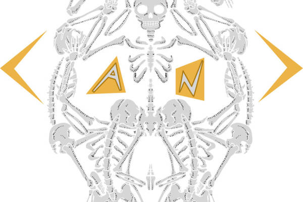 创意骷髅裁片印花服装,展现个性与时尚的完美结合