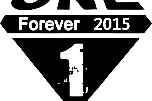 2015年经典裁片印花服装:永恒时尚的代表