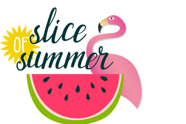 夏日清凉西瓜火烈鸟裁片印花服装