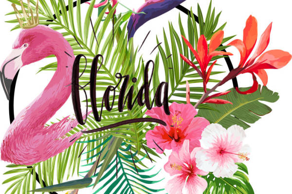 热带风情火烈鸟裁片印花服装印花设计