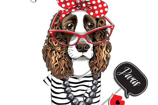 时尚狗狗裁片印花服装，打造可爱宠物风格