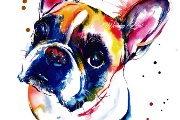 时尚多彩法斗犬裁片印花服装印花设计