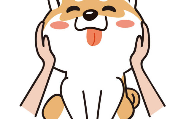 可爱卡通狐狸裁片印花服装，打造独特个性风格