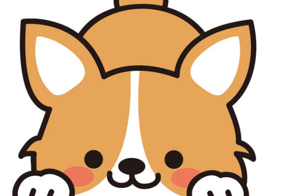 可爱卡通狐狸裁片印花服装 趣味动物图案服装印花