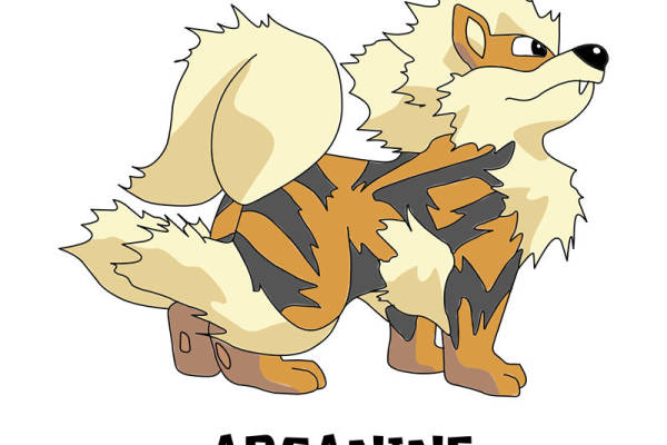 创意卡通狐狸裁片印花服装,展现独特个性风格