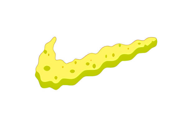 自然风格裁片印花服装：清新绿色植物图案设计