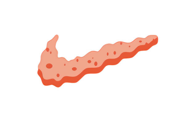 时尚个性裁片印花服装 创意珊瑚纹理图案印花T恤