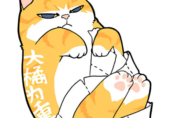 萌趣大橘猫裁片印花服装 时尚个性服装印花设计