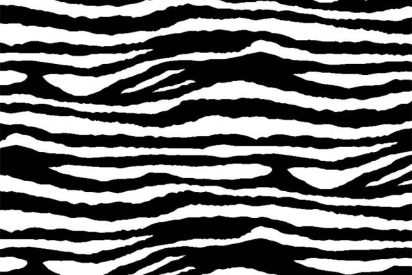 经典斑马纹面料印花，时尚服装印花设计