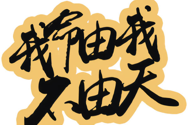 个性化裁片印花服装：我命由我不由天，展现自我风格