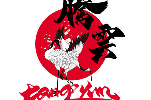 腾云裁片印花服装：展现东方韵味的高品质服装印花