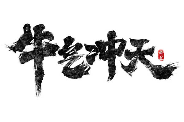 牛气冲天裁片印花服装 展现个性与力量