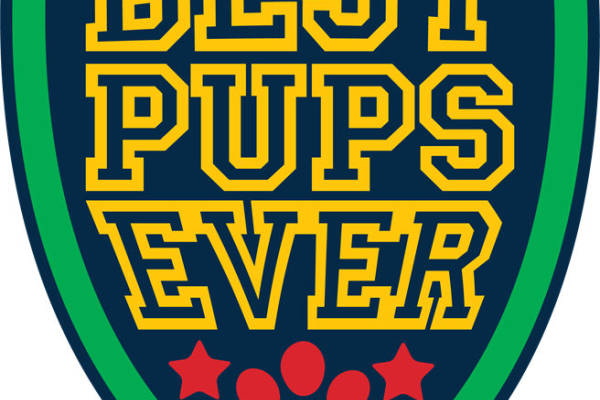 独特设计裁片印花服装：最佳小狗图案服装印花