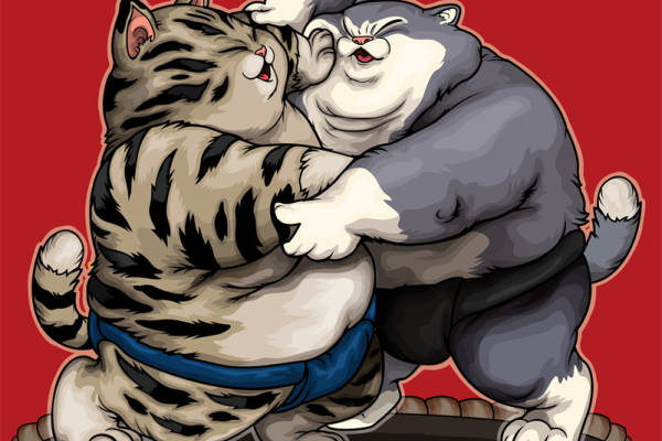 趣味卡通裁片印花服装:猫与熊的欢乐拥抱