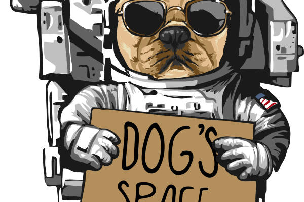 创意狗狗太空服装印花设计,趣味裁片印花服装