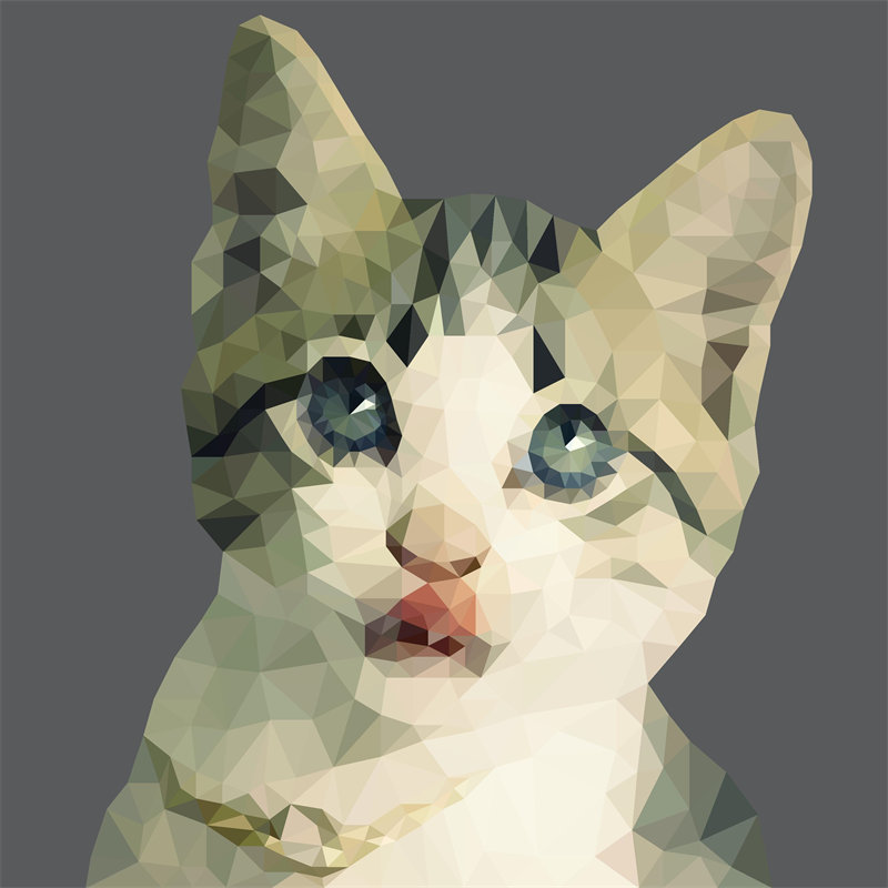 几何风格猫脸裁片印花服装，时尚与艺术的完美结合