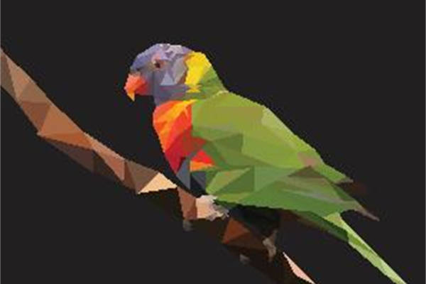 时尚多彩鹦鹉裁片印花服装，展现个性与活力的服装印花设计