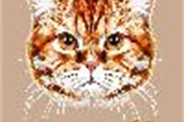 独特猫脸图案裁片印花服装印花设计