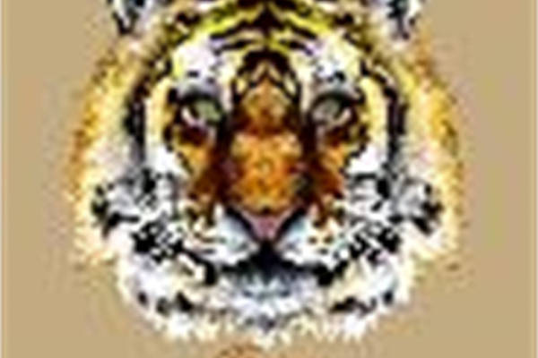 独特霸气老虎头裁片印花服装印花设计