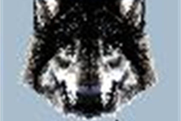 独特狼头图案裁片印花服装印花设计