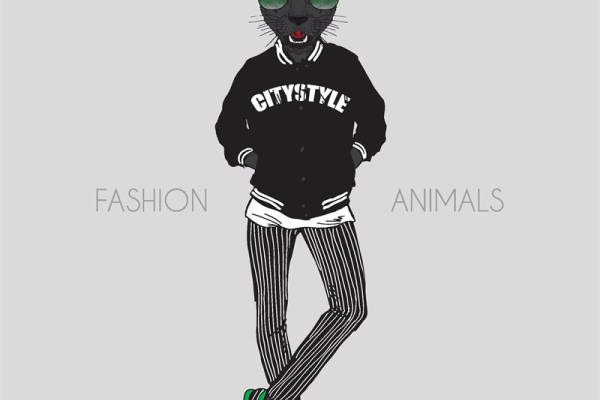 时尚动物裁片印花服装:城市风格猫形象设计
