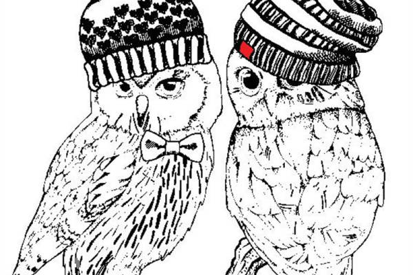 冬季温暖风格猫头鹰裁片印花服装印花设计