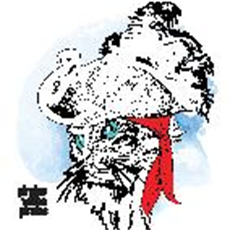 时尚街头风格老虎裁片印花服装印花设计