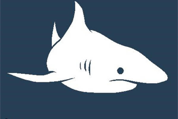 创意鲨鱼裁片印花服装，打造个性时尚风格