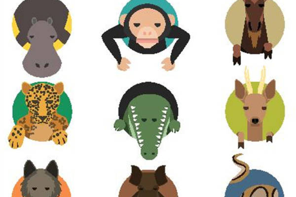 创意动物裁片印花服装图案设计,打造独特个性风格