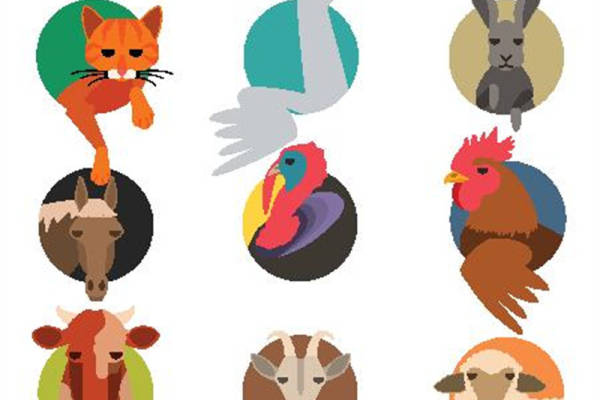 创意动物图案裁片印花服装印花设计