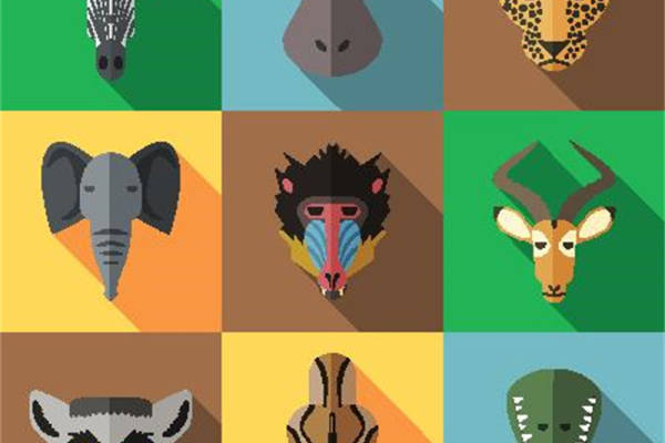 创意动物裁片印花服装：时尚与自然的完美结合