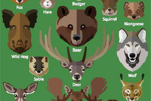 创意野生动物裁片印花服装：时尚与自然的完美融合