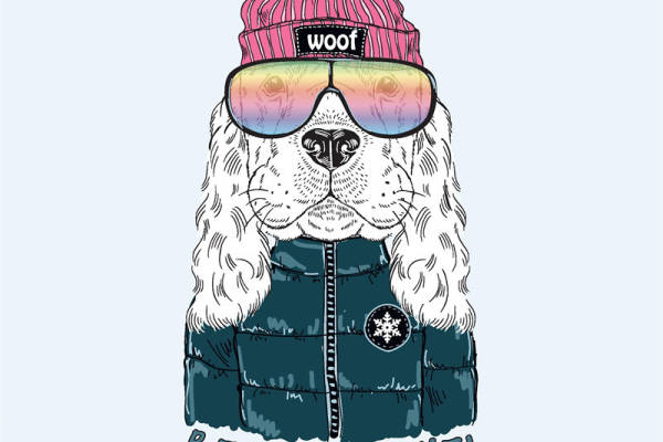 冬季时尚宠物裁片印花服装，萌宠滑雪装备