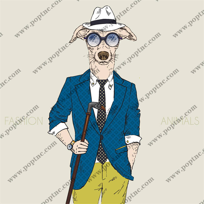 时尚动物裁片印花服装:潮流狗狗西装设计