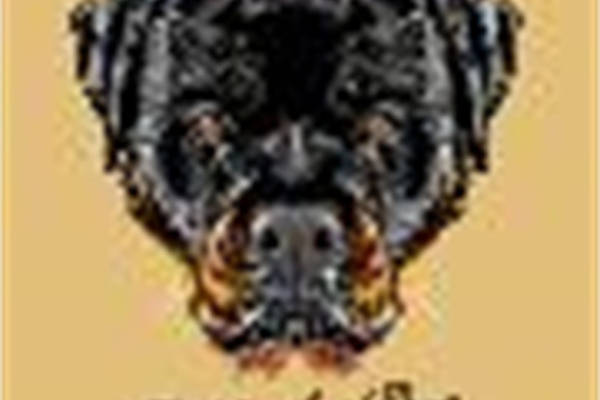 创意狮子头裁片印花服装:时尚与艺术的完美结合