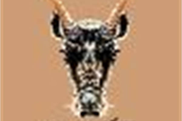 独特野牛头裁片印花服装印花设计