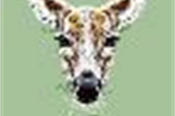 时尚潮流长颈鹿裁片印花服装印花设计