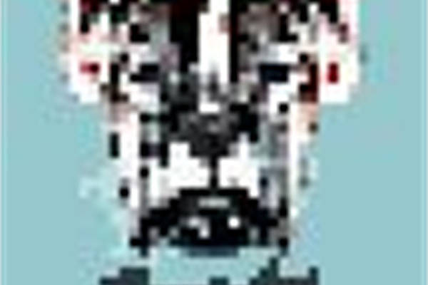 时尚潮流熊猫图案裁片印花服装印花设计