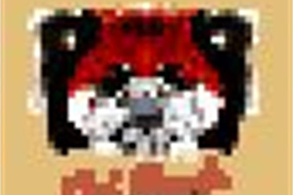 时尚潮流红色花卉裁片印花服装印花设计