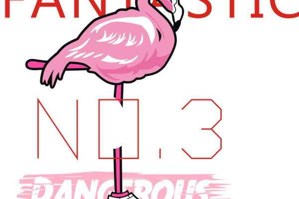 时尚火烈鸟裁片印花服装 展现个性魅力