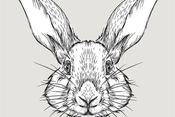 时尚兔头裁片印花服装 创意黑白插画风格服装印花